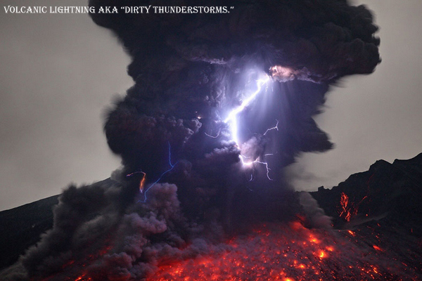 12 Craziest Things in Nature